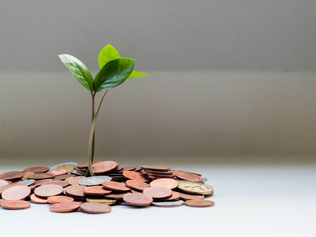 Planta creciendo sobre monedas como imagen del incremento de valor del terreno que grava la plusvalía