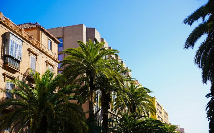 Avenida arbolada con palmeras y bloques de viviendas en Los Remedios, Sevilla