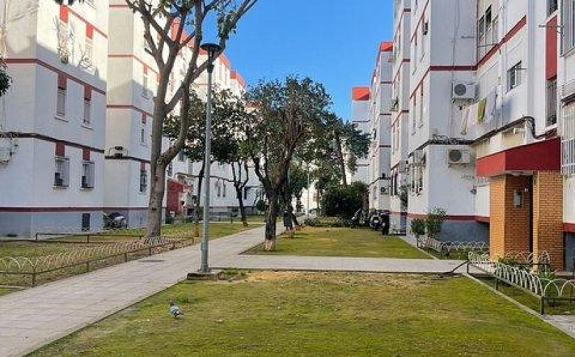 Zona verde y paseo entre bloques residenciales en Pino Montano, Sevilla